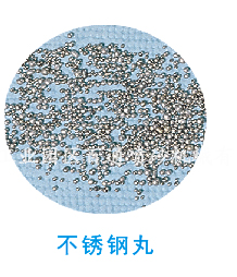 不锈钢丸